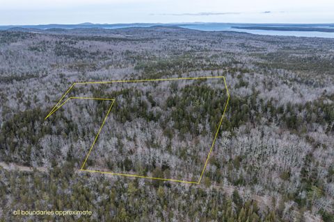 Photo of 237 Knights Pond Road, Northport, ME 04849 (MLS # 1656396)