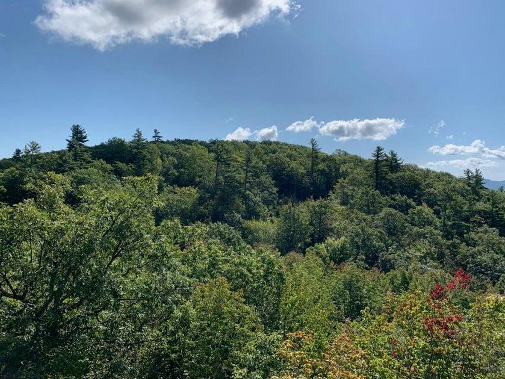 Photo of R05-0023 Tripptown Road, Hiram, ME 04041 (MLS # 1658005)