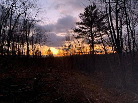 Photo of R05-0023 Tripptown Road, Hiram, ME 04041 (MLS # 1658005)