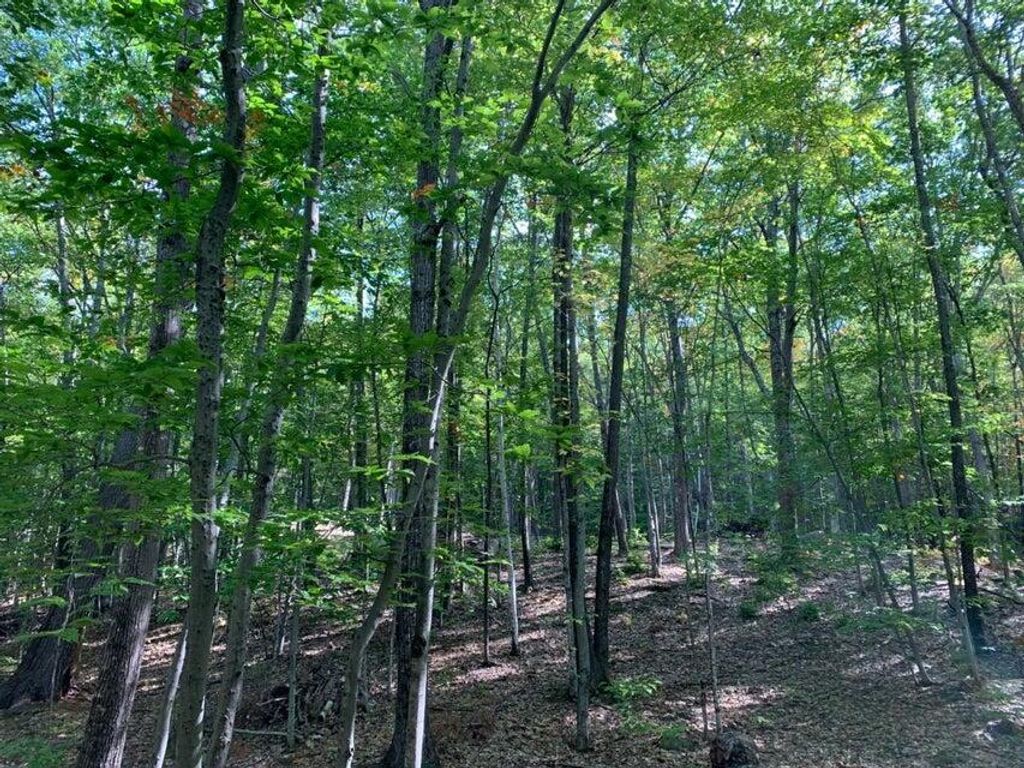 Photo of R05-0023 Tripptown Road, Hiram, ME 04041 (MLS # 1658005)