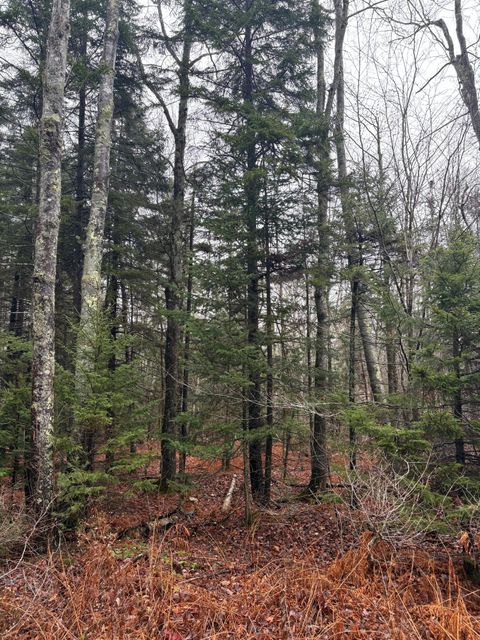 Photo of Lot 129 Harpswell Neck Road, Harpswell, ME 04079 (MLS # 1644367)
