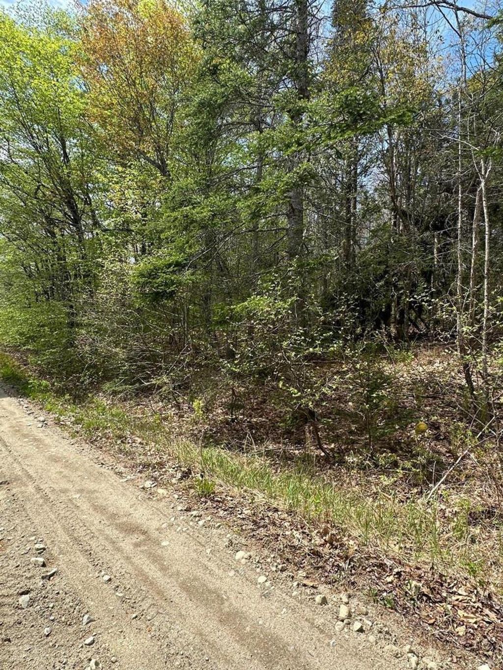 Photo of Lot 2 Morse District Road Road N, Steuben, ME 04680 (MLS # 1664167)