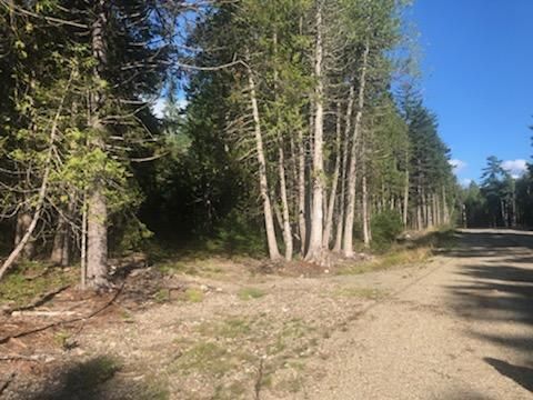 Photo of Lot 2 Driftwood Way, Mount Desert, ME 04660 (MLS # 1651318)