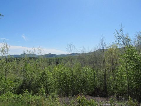 Photo of 0-4-5 W Side Road, Carthage, ME 04285 (MLS # 1663508)
