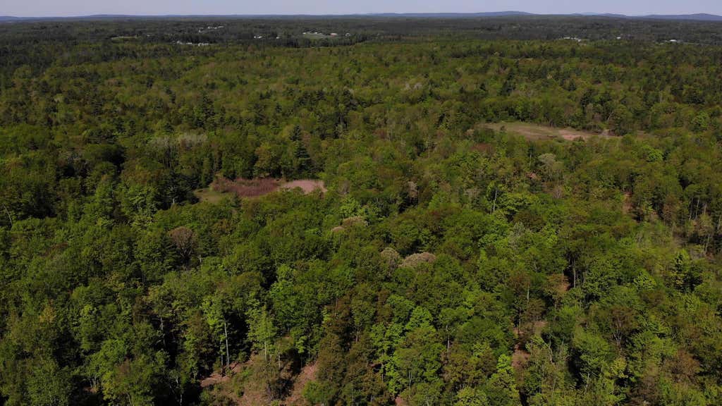 Photo of 250 Drews Mills Road, Biddeford, ME 04046 (MLS # 1663759)