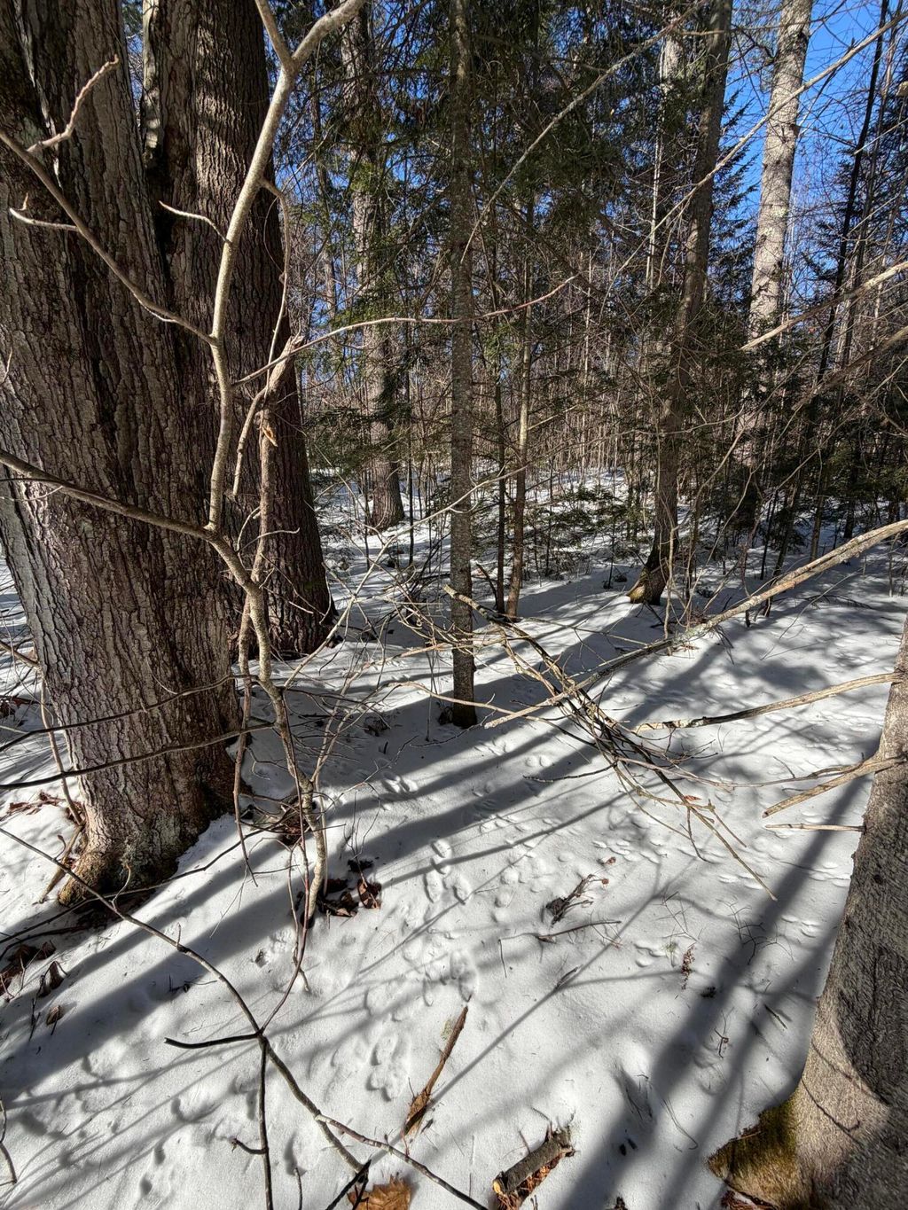 Photo of 10 Merriman Drive #10, Bethel, ME 04217 (MLS # 1650204)