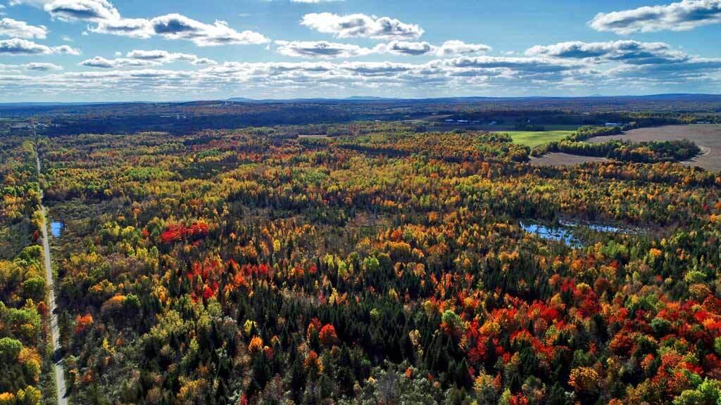 Lot 38 Off US RT 1 Highway