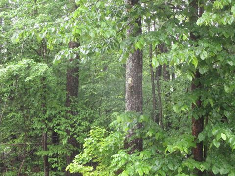 Photo of Lot 8 Northwood Estates, Sebago, ME 04029 (MLS # 1625795)