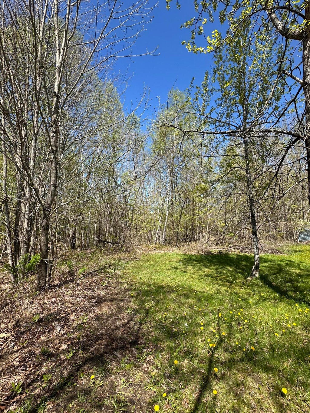 Photo of 250 E Jay Road, Jay, ME 04239 (MLS # 1662540)