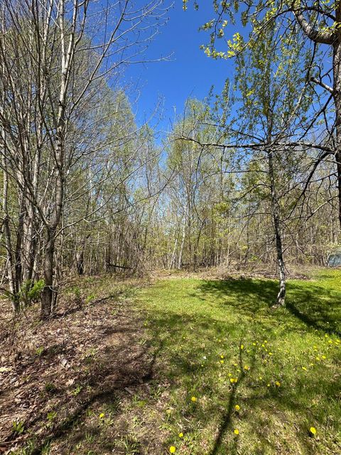 Photo of 250 E Jay Road, Jay, ME 04239 (MLS # 1662540)