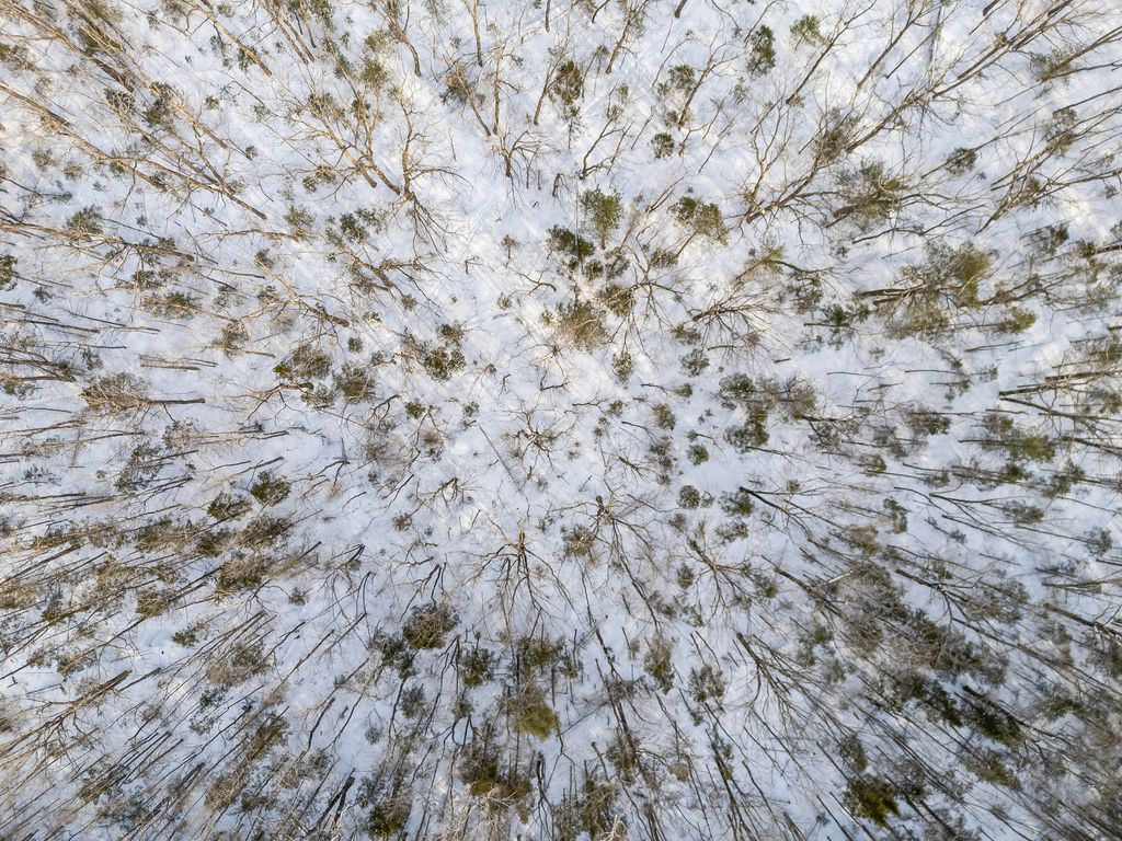 Photo of TBD Maple Ridge Drive, Greene, ME 04236 (MLS # 1615314)