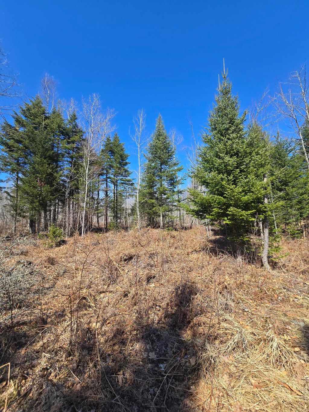 Photo of 00 Chadbourne Road, Harmony, ME 04942 (MLS # 1657637)