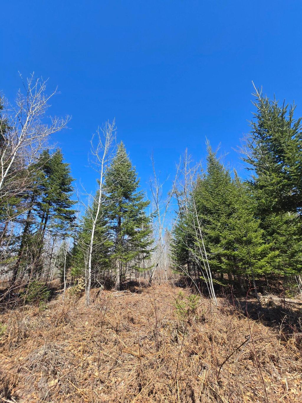 Photo of 00 Chadbourne Road, Harmony, ME 04942 (MLS # 1657637)