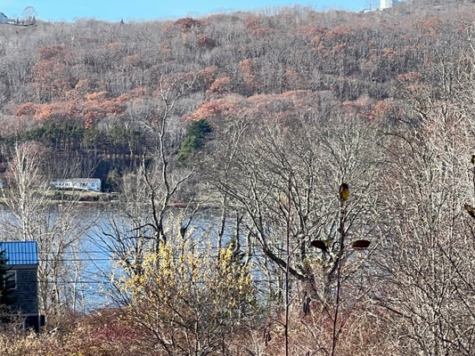 20 HAWTHORNE DR, ROCKPORT, ME 04856 - Image 0bbdd632d0b4a7dfb7459ec9bcf7be35/610682335