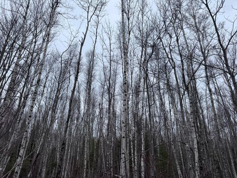 Photo of 36 Otter Trail, Greenbush, ME 04418 (MLS # 1658665)