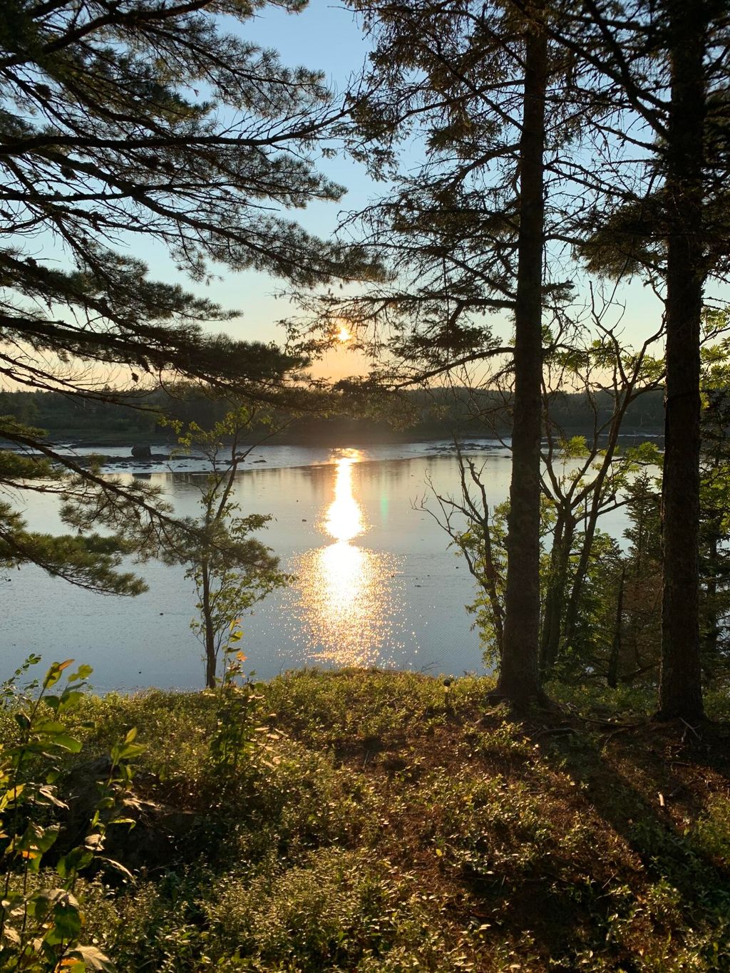 Photo of 31 Luna Lane, Trescott Twp, ME 04652 (MLS # 1650058)