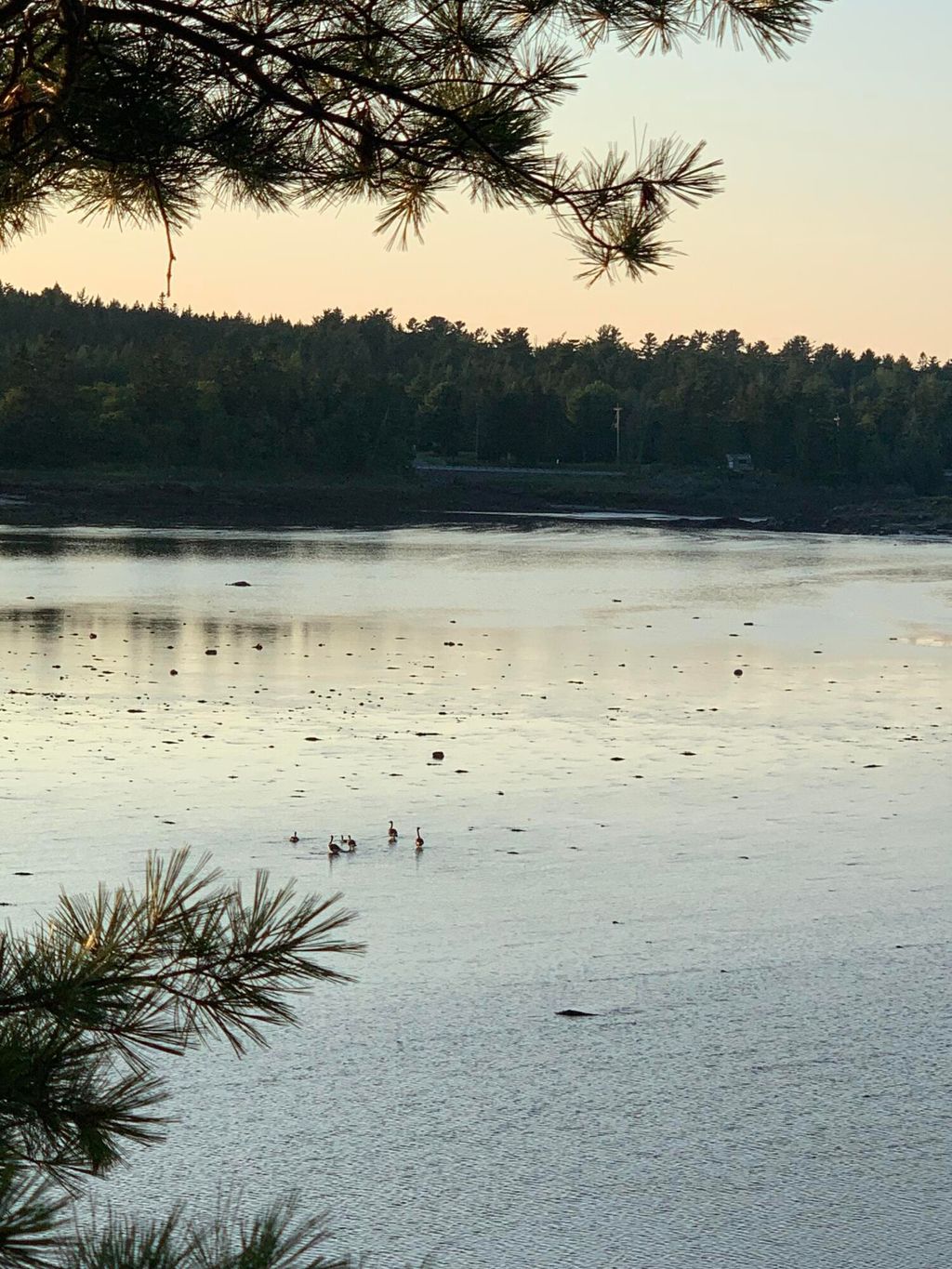 Photo of 31 Luna Lane, Trescott Twp, ME 04652 (MLS # 1650058)