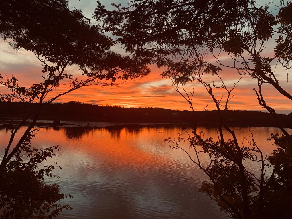 Photo of 31 Luna Lane, Trescott Twp, ME 04652 (MLS # 1650058)