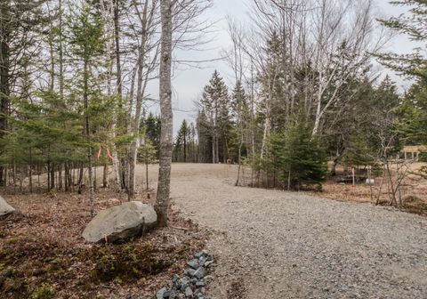 Photo of Lot #109B Stagecoach Road, Marshfield, ME 04654 (MLS # 1657159)