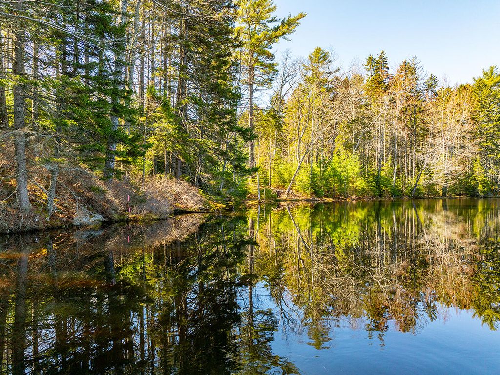 Photo of 25 Deaver Road, Waldoboro, ME 04572 (MLS # 1660437)
