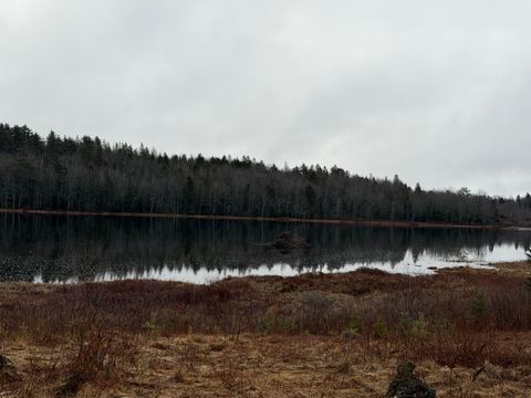 Photo of 0 Guzzle Road, Gouldsboro, ME 04607 (MLS # 1655761)