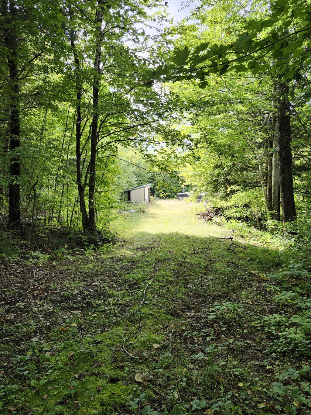 Photo of 672 Meadow Lane, Rumford, ME 04276 (MLS # 1659074)