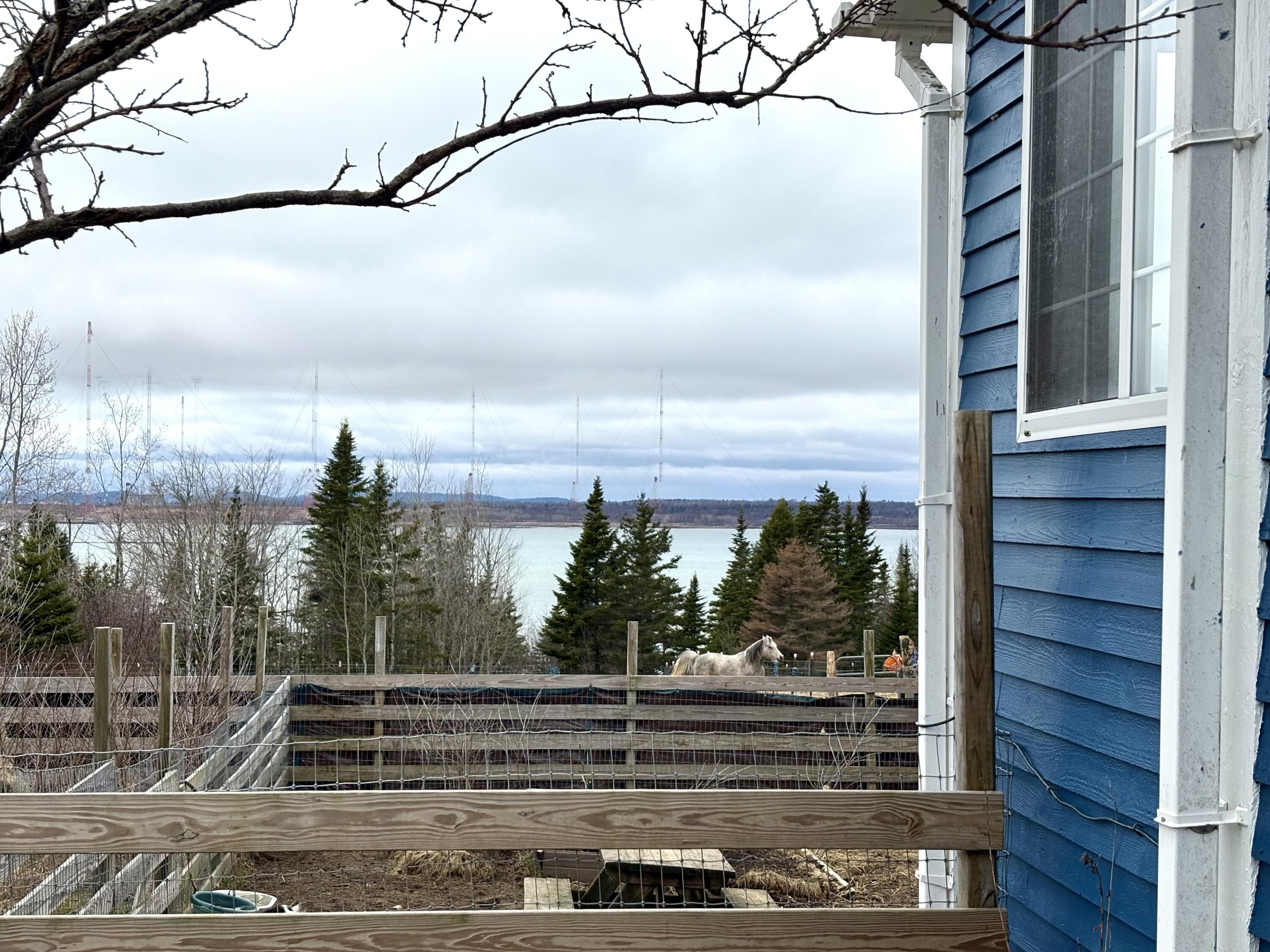 99 Little Machias Road