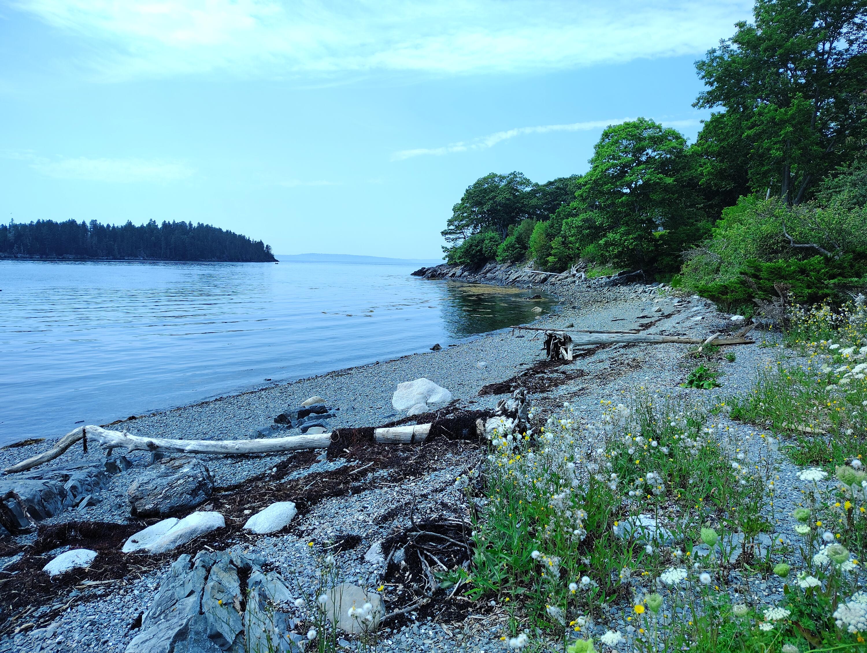Sorrento, Maine 04677, United States, 7 Bedrooms Bedrooms, ,4 BathroomsBathrooms,Residential,Active,190685