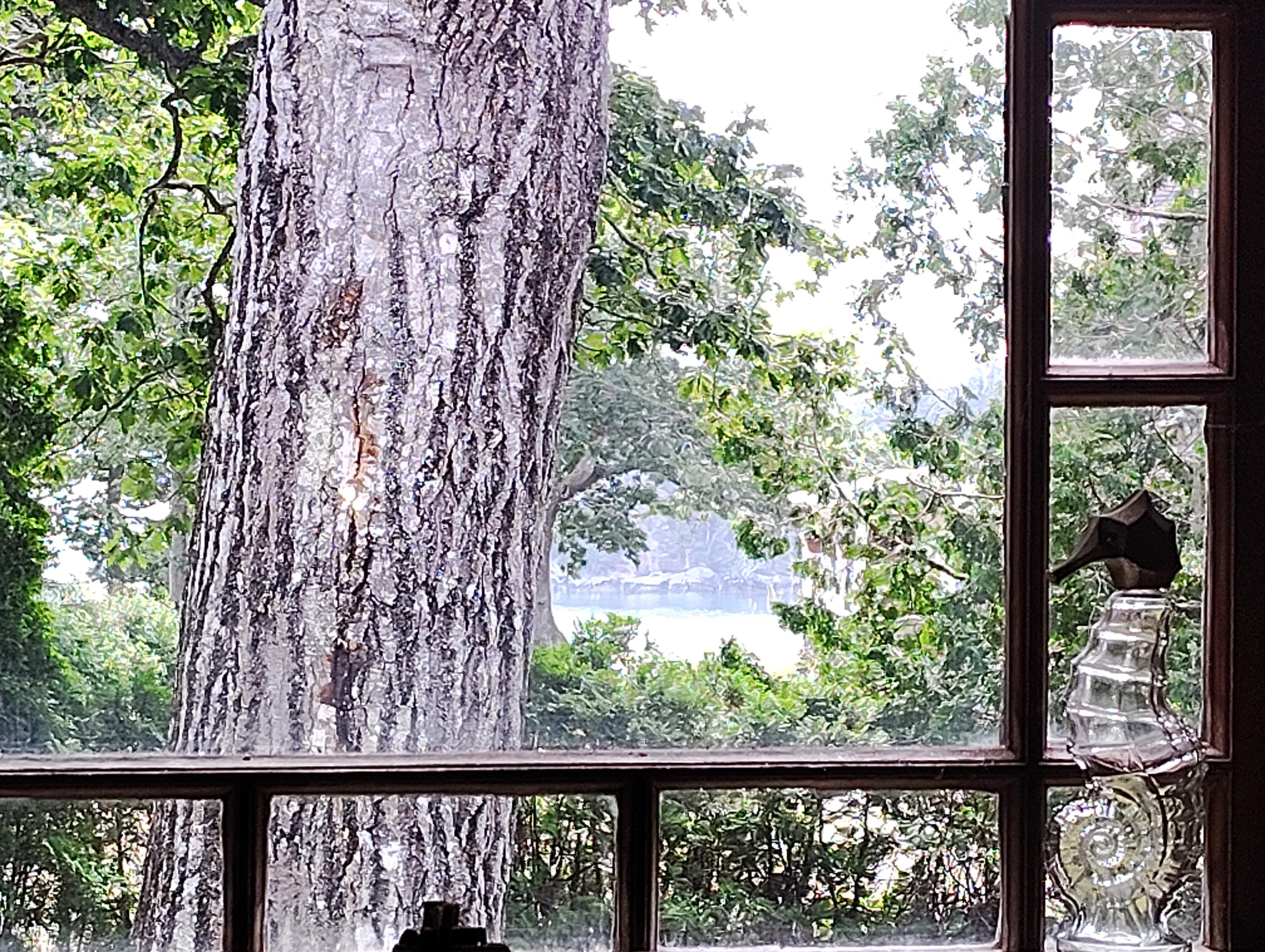 Sorrento, Maine 04677, United States, 7 Bedrooms Bedrooms, ,4 BathroomsBathrooms,Residential,Active,190685