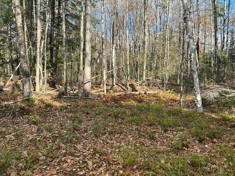 Photo of 0 French Road, Norway, ME 04268 (MLS # 1614726)