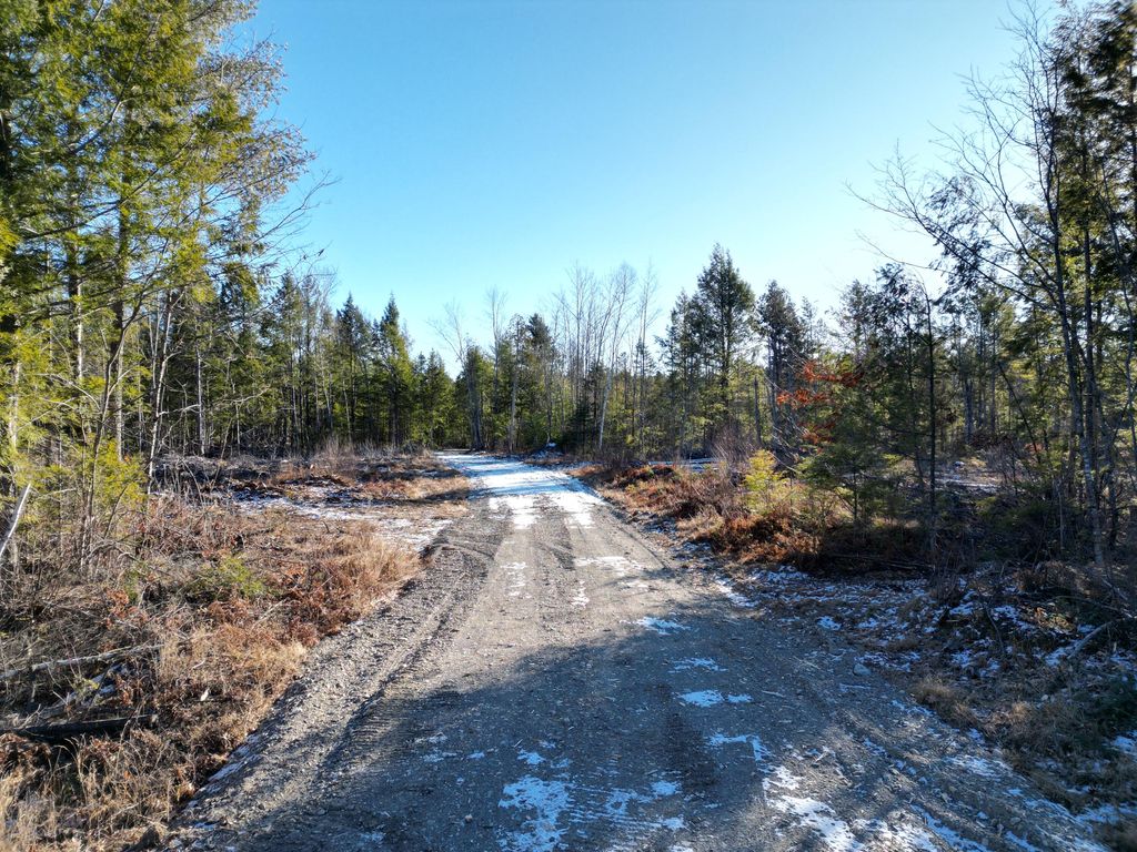 Photo of Lot 1 Mattamiscontis Road, Howland, ME 04448 (MLS # 1649514)