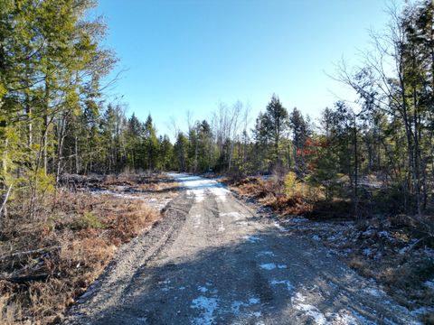 Photo of Lot 1 Mattamiscontis Road, Howland, ME 04448 (MLS # 1649514)