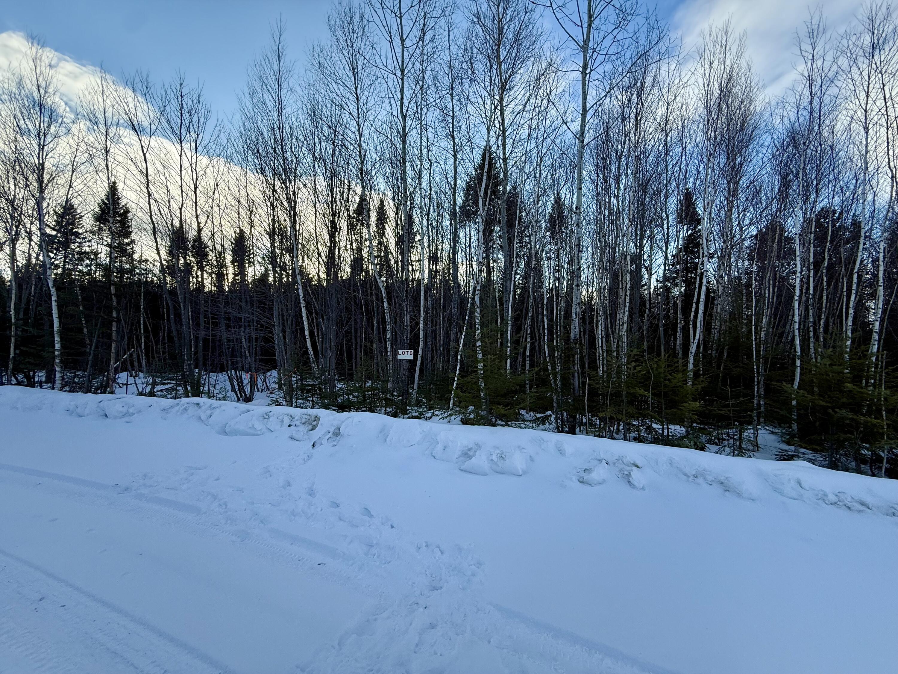 Lot #6 Greenville Steam Road