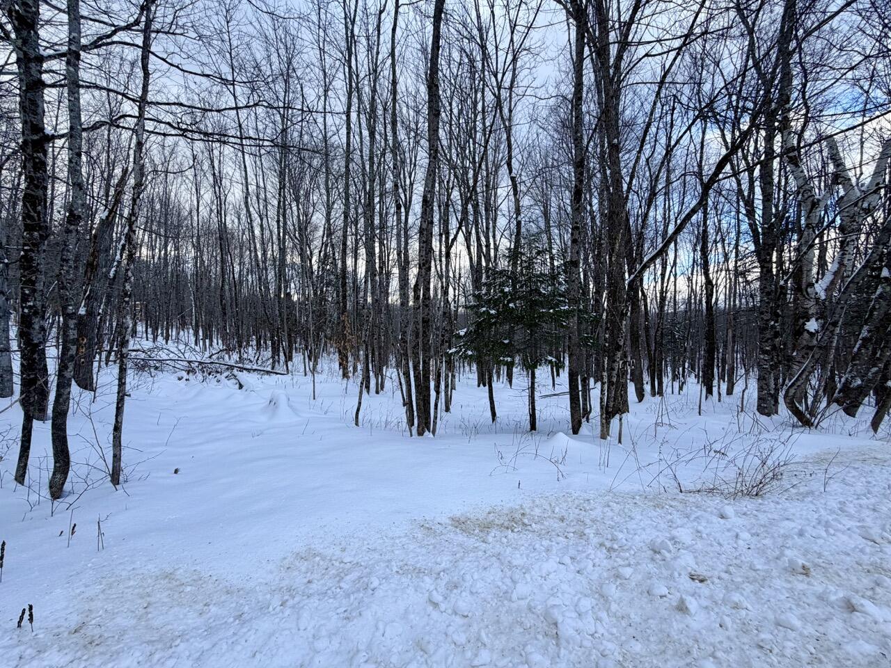 Lot 4A Center Hill Road