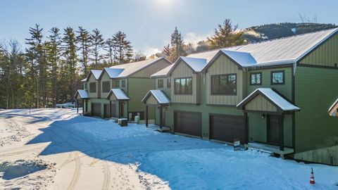 Photo of Unit 16 Mountain Road, Bridgton, ME 04009 (MLS # 1652718)
