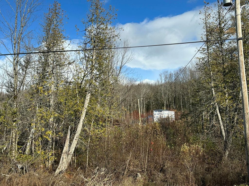 Photo of 135 Hemore Road, Ludlow, ME 04730 (MLS # 1643239)