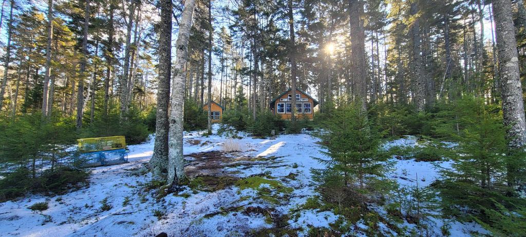 Photo of 45 Missy Way, Steuben, ME 04680 (MLS # 1653568)