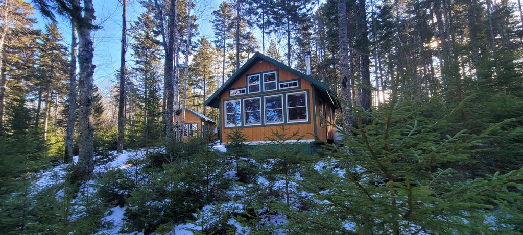 Photo of 45 Missy Way, Steuben, ME 04680 (MLS # 1653568)