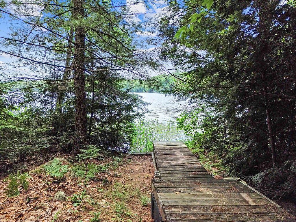 Photo of 91 Diller Line Rd, Chesterville, ME 04938 (MLS # 1630511)