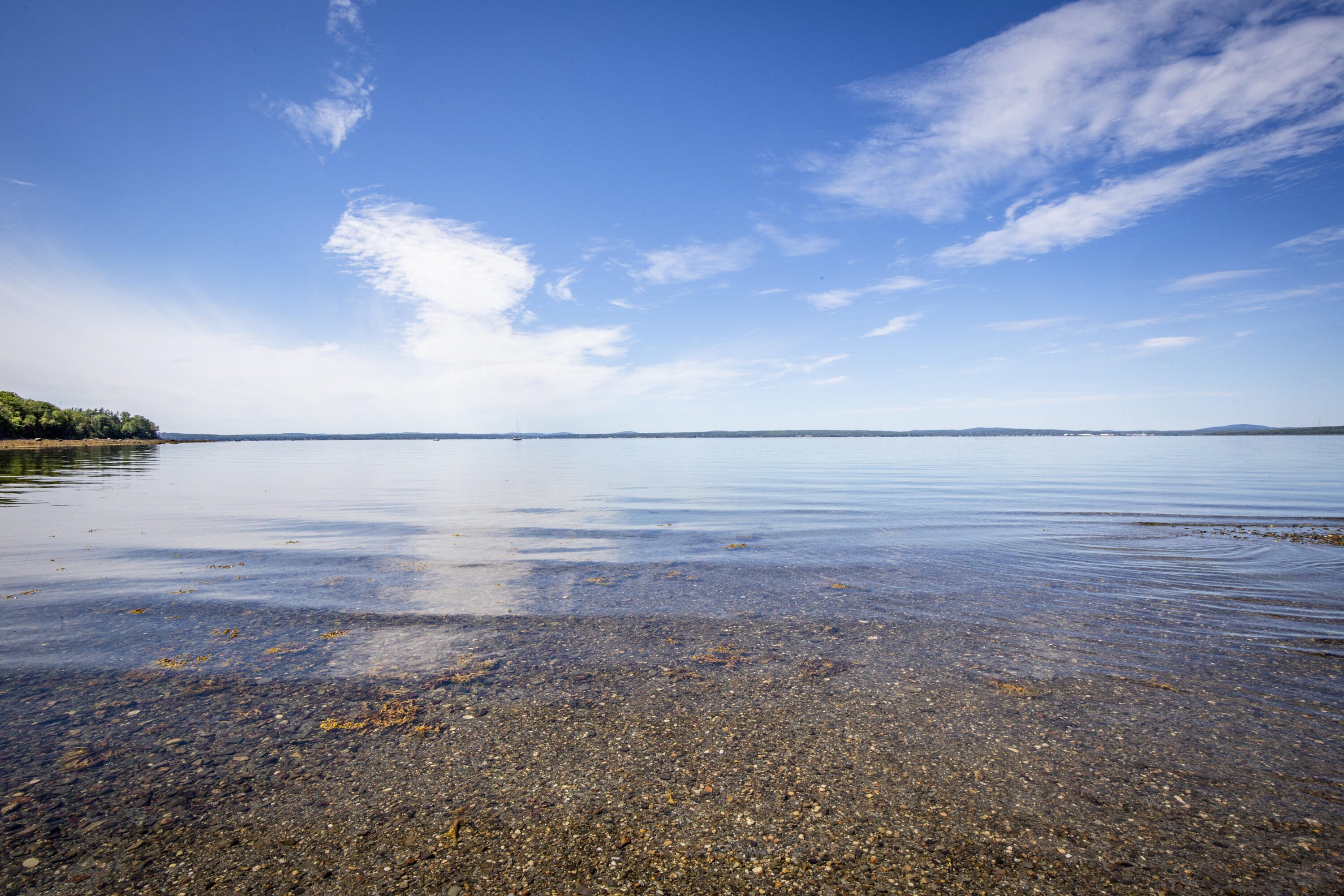 1446 Meadow Pond Road