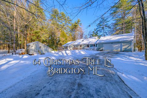 Photo of 64 Christmas Tree Lane, Bridgton, ME 04009 (MLS # 1647443)