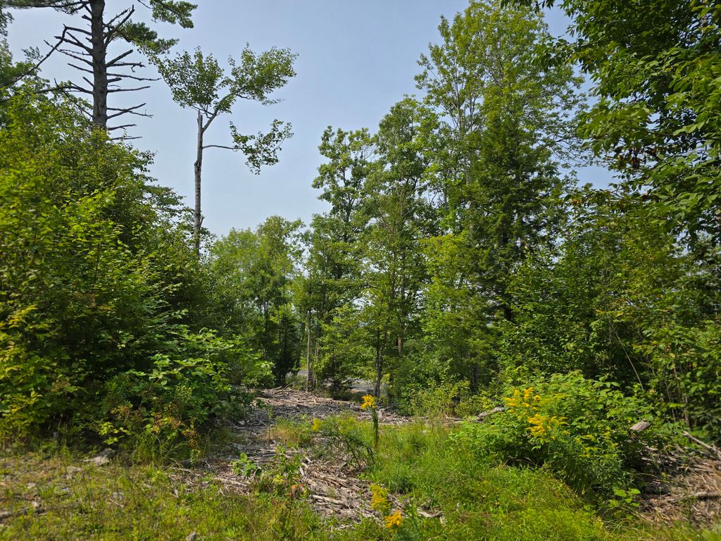 Photo of Lot7 Bear Brook Subdivision, Sebec, ME 04481 (MLS # 1648851)