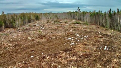 Photo of L1 Lively Brook Acres, Whiting, ME 04691 (MLS # 1644345)