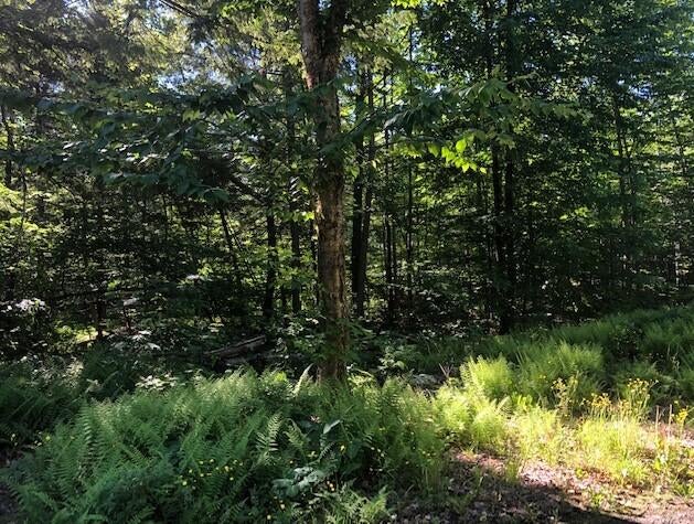 Photo of 0 Flag Cove Road Road, Bowerbank, ME 04426 (MLS # 1658274)