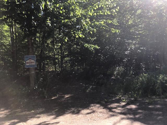 Photo of 0 Flag Cove Road Road, Bowerbank, ME 04426 (MLS # 1658274)