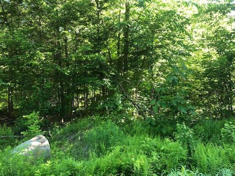 Photo of 0 Flag Cove Road Road, Bowerbank, ME 04426 (MLS # 1658274)