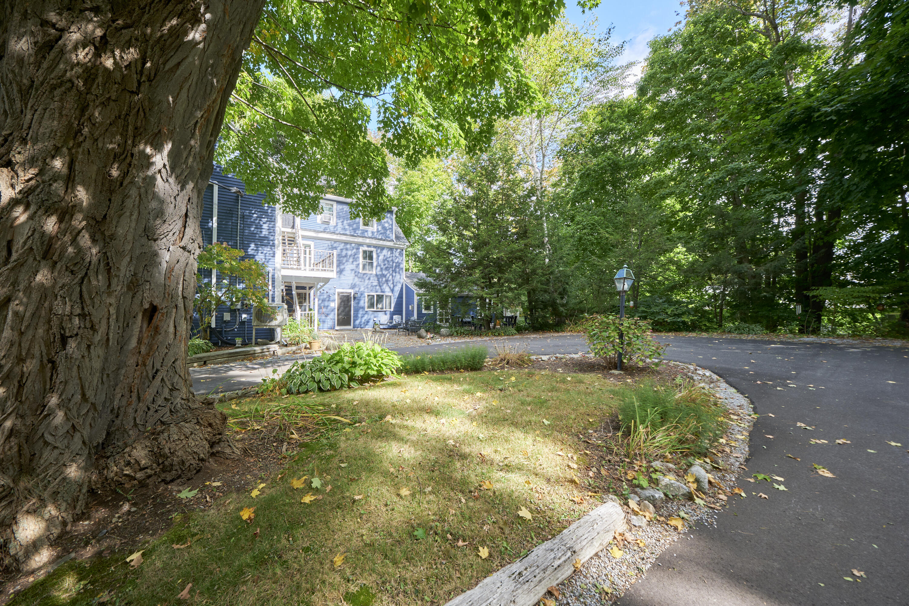 84 Elm Street