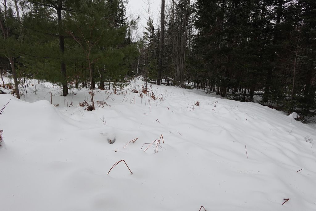 Photo of 262 Bert Berry Road, Embden, ME 04958 (MLS # 1648766)