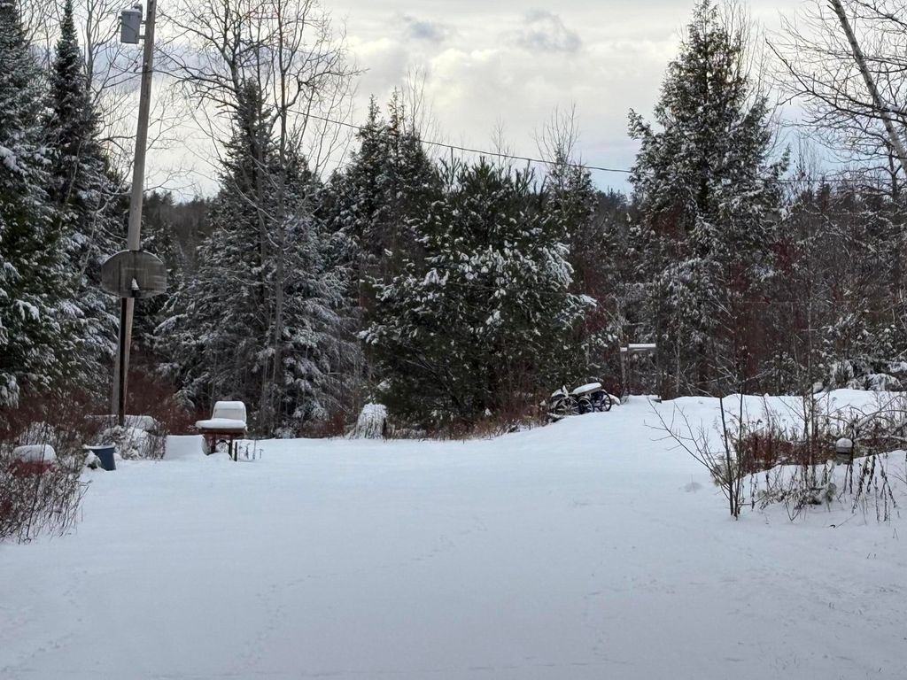 Photo of 880 Spring Bridge Road, Greenbush, ME 04418 (MLS # 1646538)