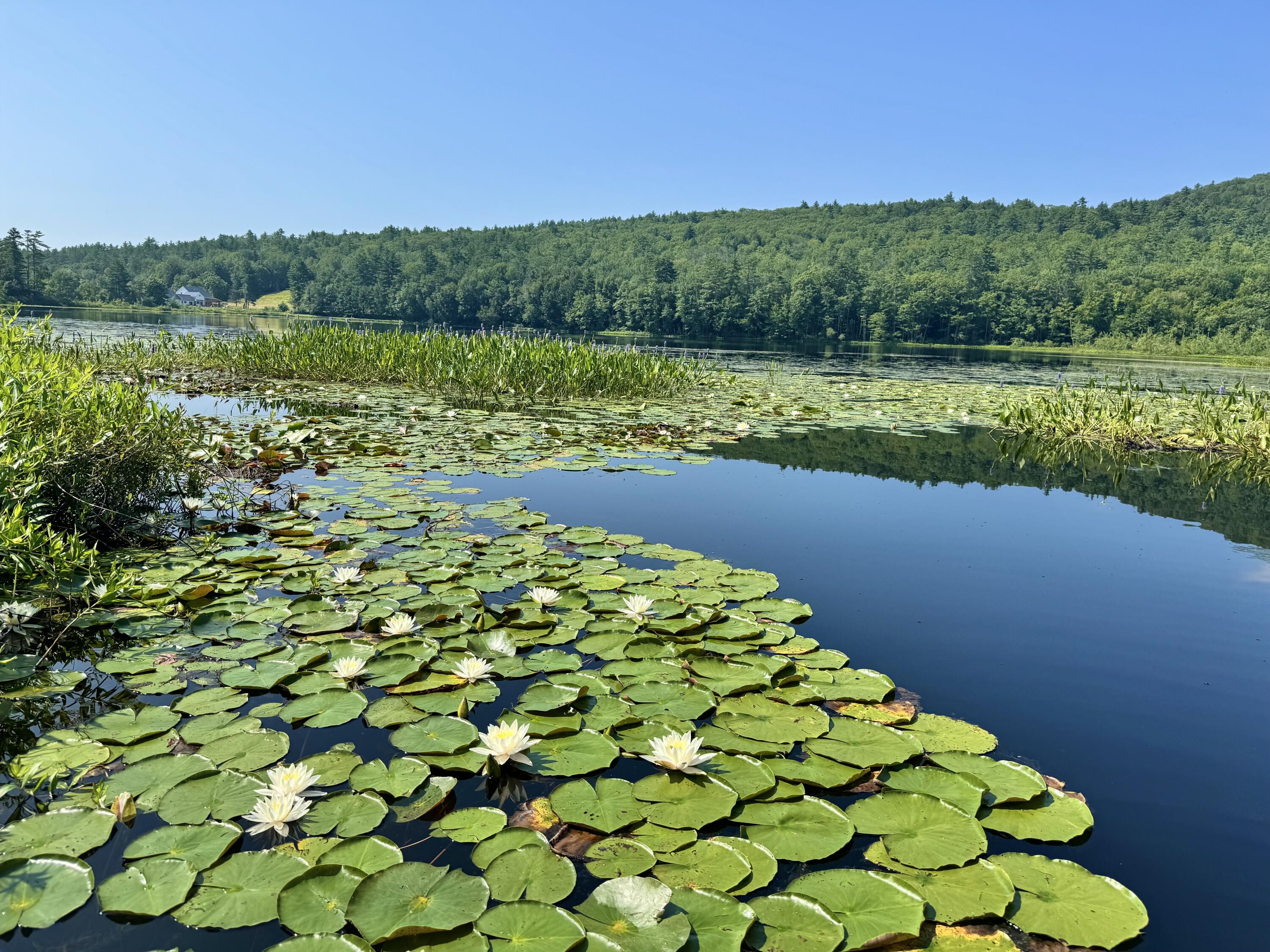 Porter, Maine 04068, United States, 3 Bedrooms Bedrooms, ,3 BathroomsBathrooms,Residential,Active,184114
